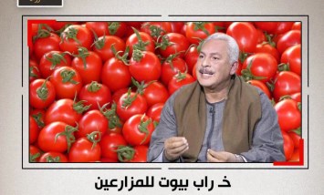 صدمة في سوق الطماطم.. الفلاحون يحذرون: البيع بهذه الأسعار يهدد الموسم بالكامل