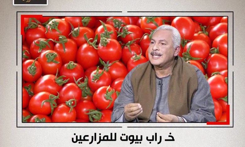 صدمة في سوق الطماطم.. الفلاحون يحذرون: البيع بهذه الأسعار يهدد الموسم بالكامل