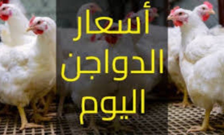 أسعار الفراخ 